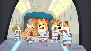 Dogs in Space Who's a Good Boy?