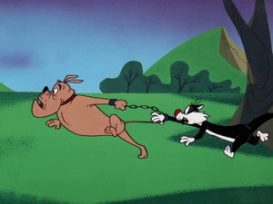 Episodio 7