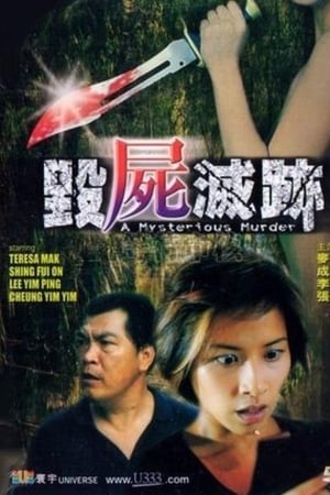 Poster A Mysterious Murder (2003)