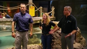 Tanked Season 7 Episode 6