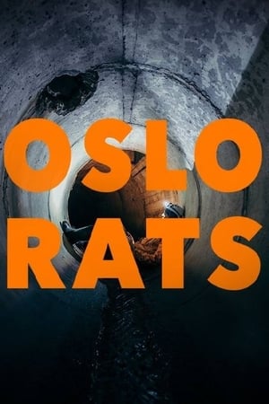 Poster Oslo Rats (2017)