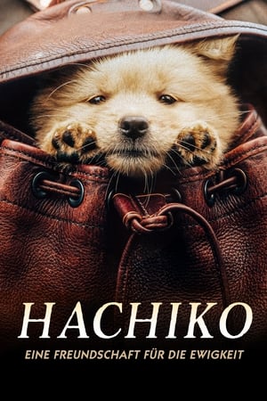 Image Hachiko - Eine Freundschaft für die Ewigkeit