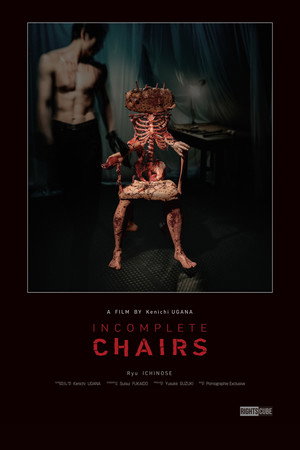 Incomplete Chairs 6