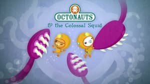 Octonauts The Colossal Squid