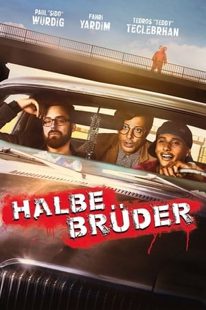 Poster Halbe Brüder 2015