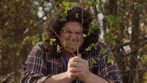 The Money Tree (2025)