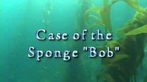 SpongeBob SquarePants: 0x25