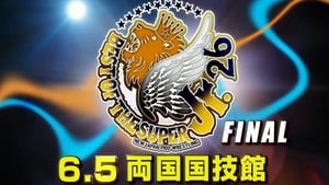 NJPW Best of the Super Juniors XXVI FINAL (2019)