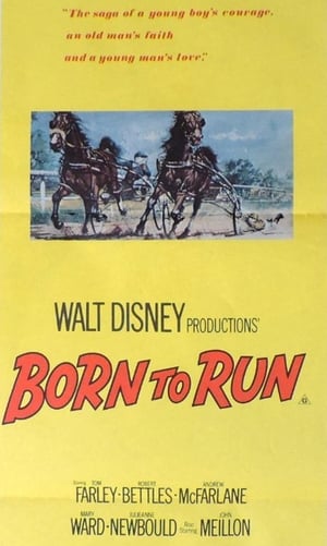 Poster Born to Run (1977)