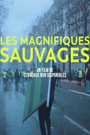 Image Les Magnifiques sauvages