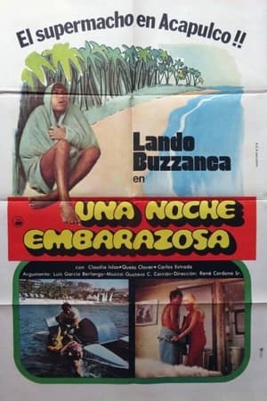 Poster Una noche embarazosa (1977)