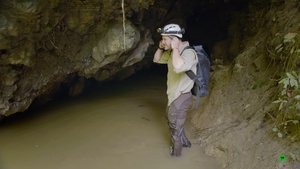 Expedition with Steve Backshall Mexico: Maya Underworlds