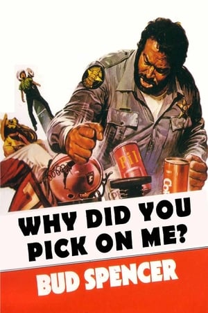 Why Did You Pick On Me? poster