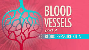 Crash Course Anatomy & Physiology Blood Vessels, Part 2