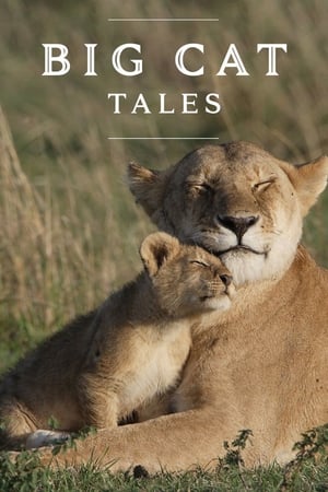 Image Big Cat Tales