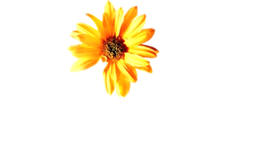 Hope Springs