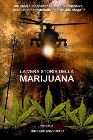 Poster La vera storia della marijuana 2010