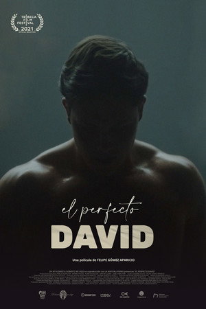 The Perfect David 3