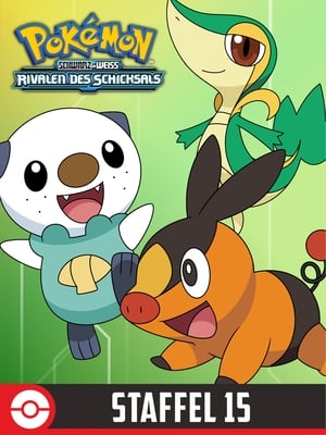 Pokémon: Staffel 15: Schwarz & Weiß: Rivalen des Schicksals