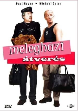 Poster Melegházi átverés 2004