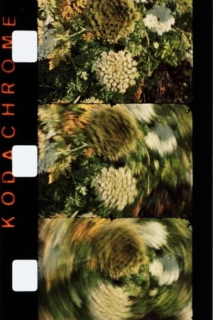 Nonton film Midi (1985) terbaru sub indo Nonton film Midi (1985) terbaru sub indo