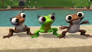 Madagascar: A Little Wild Odd Frog Out
