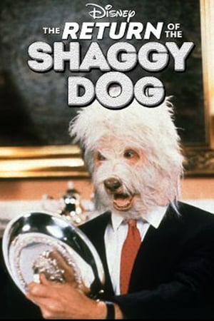 Return of the Shaggy Dog poster