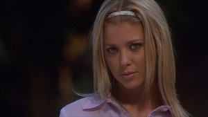 American Party – Van Wilder relations publiques