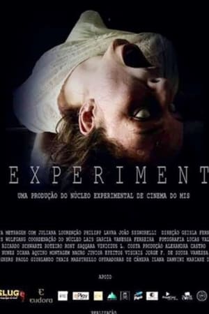 Poster The Experiment (2016)