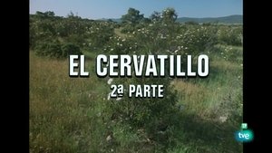Episode 22