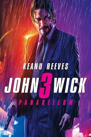poster John Wick: Chapter 3 - Parabellum
