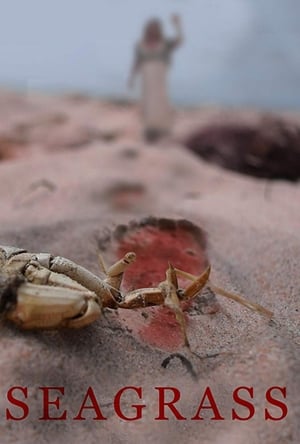 Image Seagrass