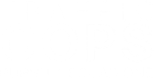 Traffic Cops: Pursuit Squad One