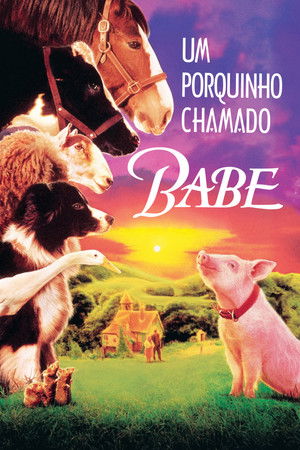 Image Um Porquinho Chamado Babe