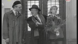 Episodio 29