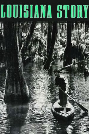 Image Луизианская история
