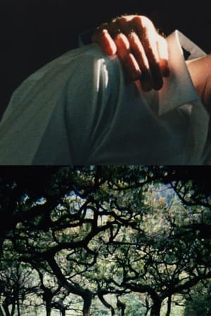 Poster The Hedge Theater (2002)
