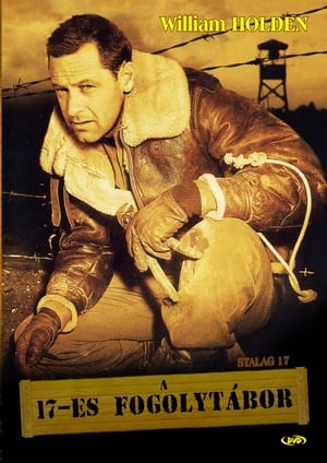 Poster A 17-es fogolytábor 1953