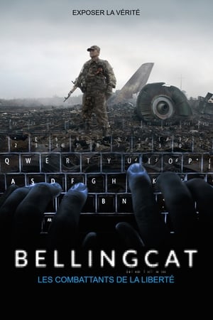 Image Bellingcat, les combattants de la liberté