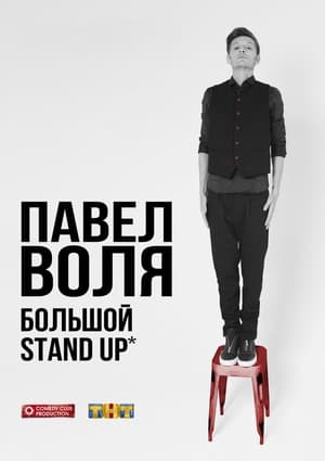 Poster Pavel Volya: Big Stand-Up 2016 2016
