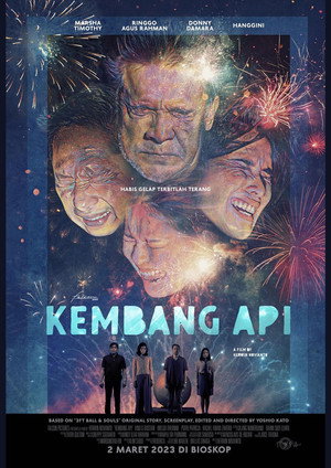 Fireworks 11