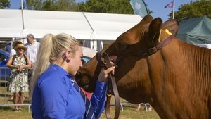 The Farmers' Country Showdown Okehampton Show