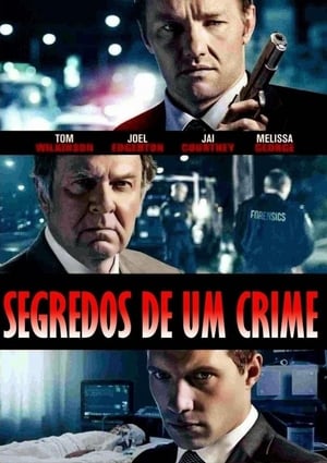 Poster Segredos de Um Crime 2014