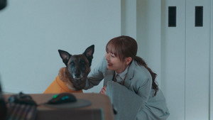 Episódio 1 - Problem Property