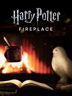 Harry Potter: Fireplace (2022)
