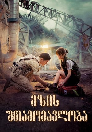 Descendants of the Sun