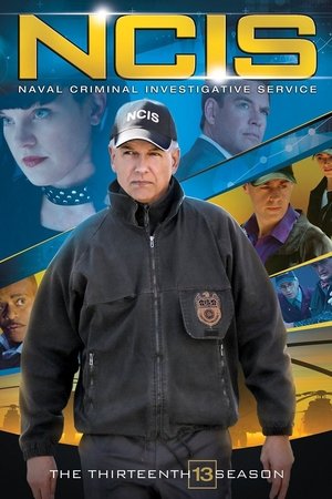 NCIS Season 13
