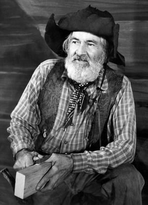 Image The Gabby Hayes Show