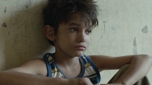 مشاهدة فيلم Capernaum 2018 مترجم