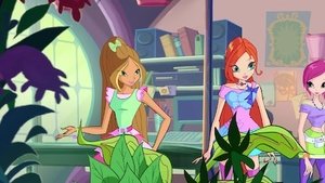 O Clube Das Winx: 6×2